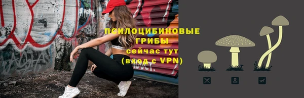 герыч Богородицк
